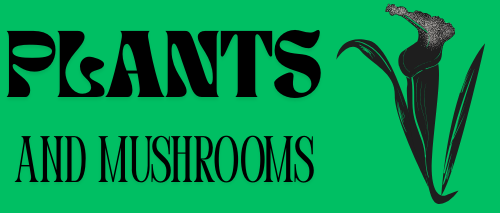 plantsandms.com